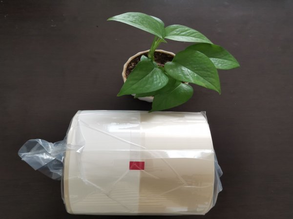 <b>簡單分析印刷玻璃紙藥品包裝膜的氣泡原因</b>